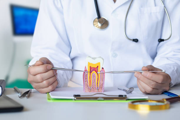 Best Urgent Dental Care for Toothache in Pratt, KS